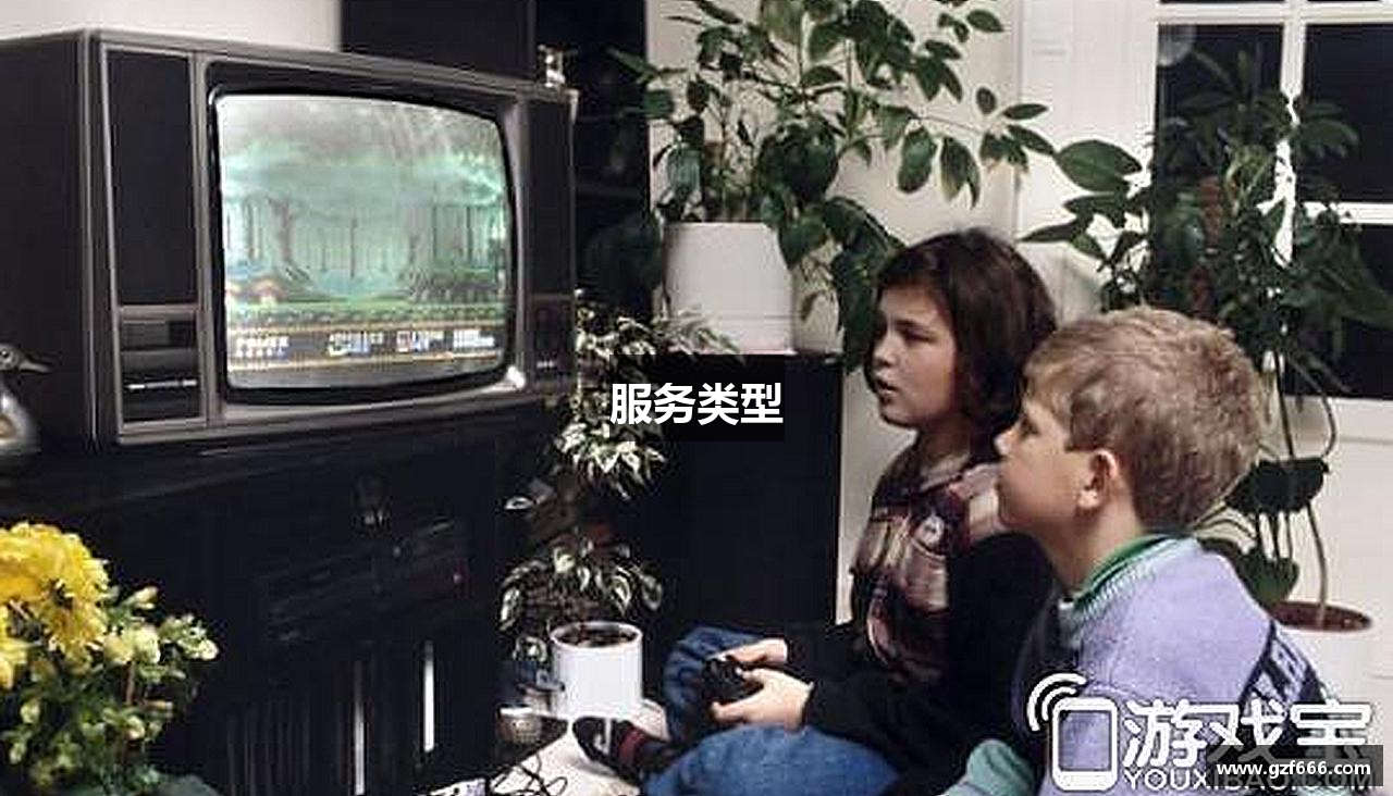 服务类型